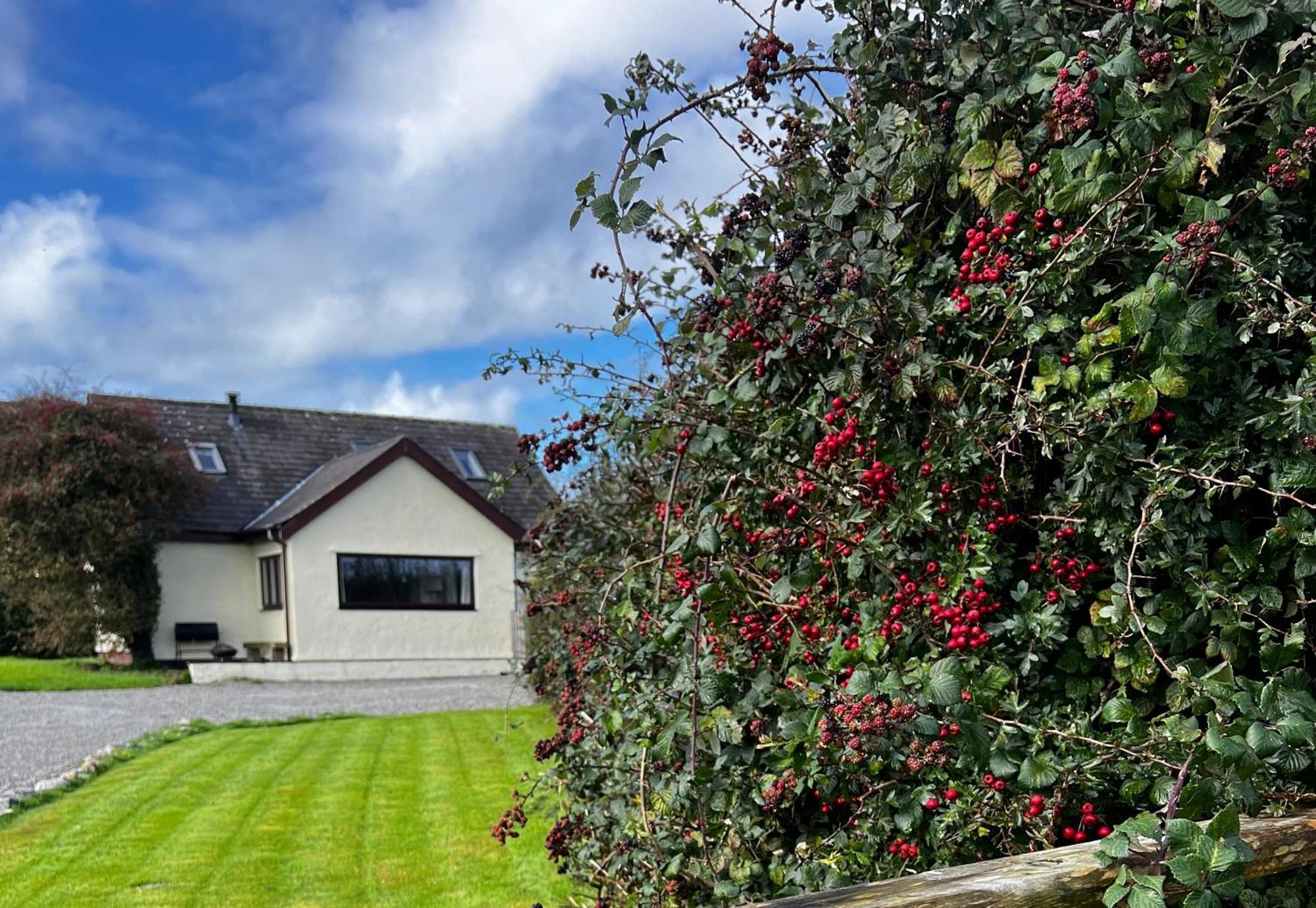 3 Bed Detached Cottage- Log Burner Mountain Views Beaumaris Esterno foto